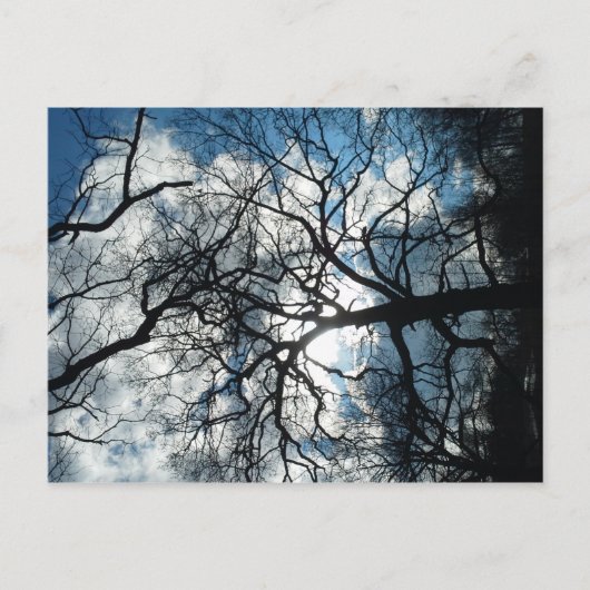 Briefkaart (Voorkant)