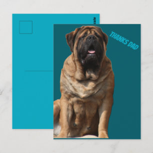 BRIEFKAART