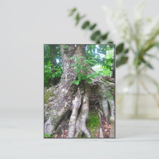 Briefkaart (Staand voorkant)