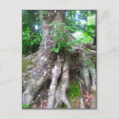 Briefkaart (Voorkant)