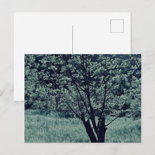 Briefkaart (Voorkant / Achterkant)