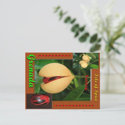 Briefkaart (Staand voorkant)