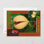 Briefkaart (Voorkant / Achterkant)