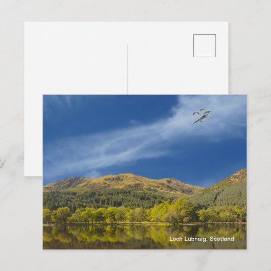 Briefkaart (Voorkant / Achterkant)