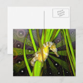 Briefkaart (Voorkant / Achterkant)