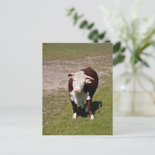 Briefkaart (Staand voorkant)