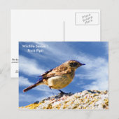 Briefkaart (Voorkant / Achterkant)