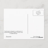 Briefkaart (Achterkant)