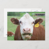 Briefkaart (Voorkant / Achterkant)