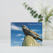 Briefkaart (Staand voorkant)
