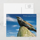 Briefkaart (Voorkant / Achterkant)