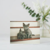 Briefkaart (Staand voorkant)