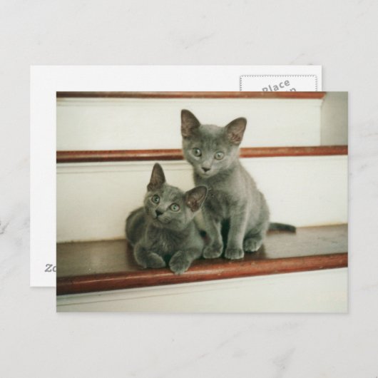 Briefkaart (Voorkant / Achterkant)