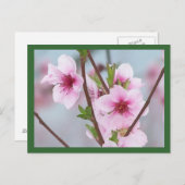 Briefkaart (Voorkant / Achterkant)