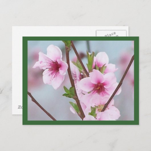 Briefkaart (Voorkant / Achterkant)