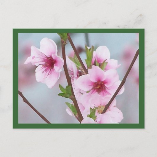 Briefkaart (Voorkant)