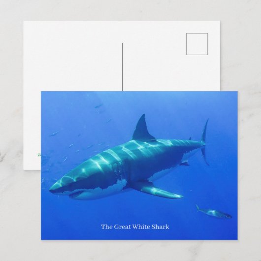 Briefkaart (Voorkant / Achterkant)