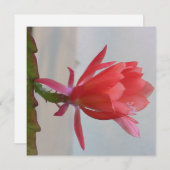 Briefkaart (Voorkant / Achterkant)