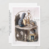 Briefkaart (Voorkant / Achterkant)