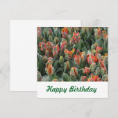 Briefkaart (Voorkant / Achterkant)