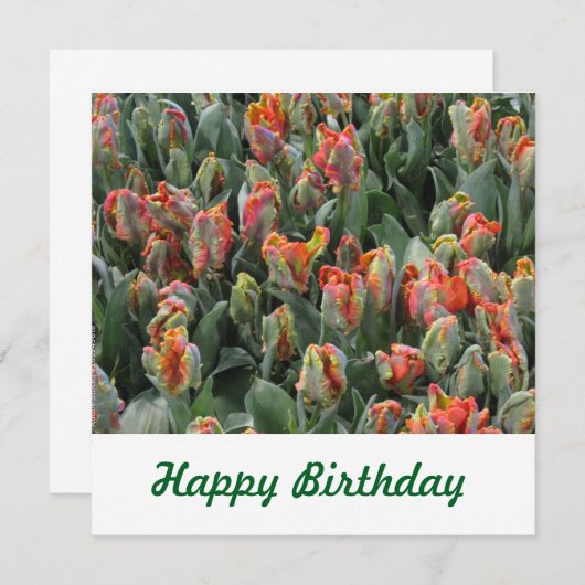 Briefkaart (Voorkant / Achterkant)