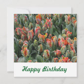 Briefkaart (Voorkant)