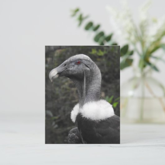 Briefkaart (Staand voorkant)