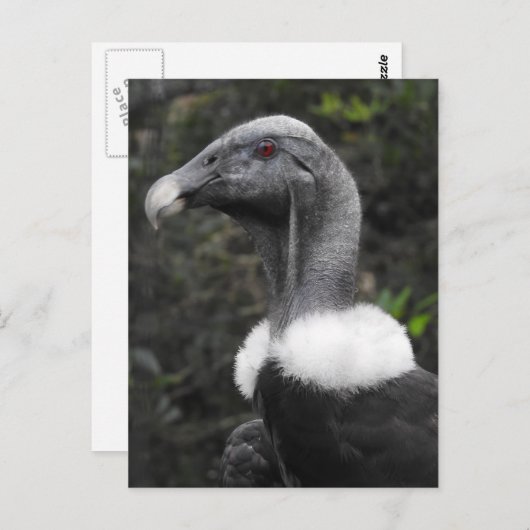 Briefkaart (Voorkant / Achterkant)