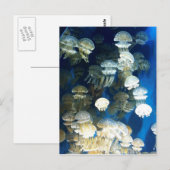 Briefkaart (Voorkant / Achterkant)