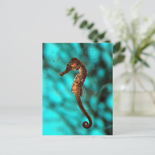 Briefkaart (Staand voorkant)