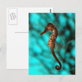 Briefkaart (Voorkant / Achterkant)