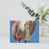 Briefkaart (Staand voorkant)