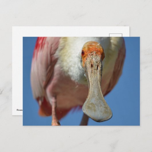 Briefkaart (Voorkant / Achterkant)