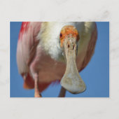 Briefkaart (Voorkant)