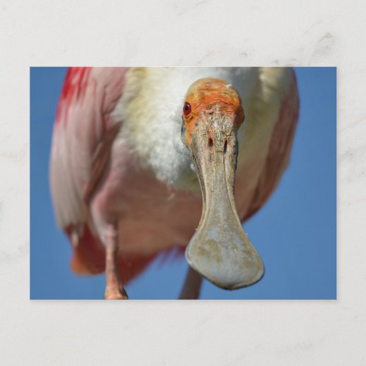 Briefkaart (Voorkant)