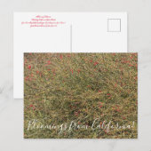 Briefkaart (Voorkant / Achterkant)