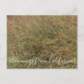 Briefkaart (Voorkant)