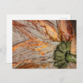 Briefkaart (Voorkant / Achterkant)