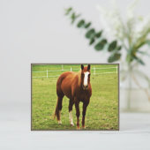 briefkaart (Staand voorkant)