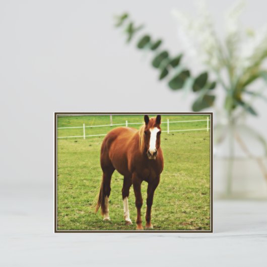 briefkaart (Staand voorkant)