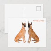 Briefkaart (Voorkant / Achterkant)