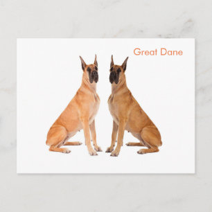 Briefkaart