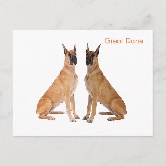 Briefkaart (Voorkant)