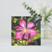 Briefkaart (Staand voorkant)