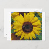 Briefkaart (Voorkant / Achterkant)