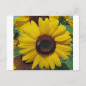 Briefkaart (Voorkant)