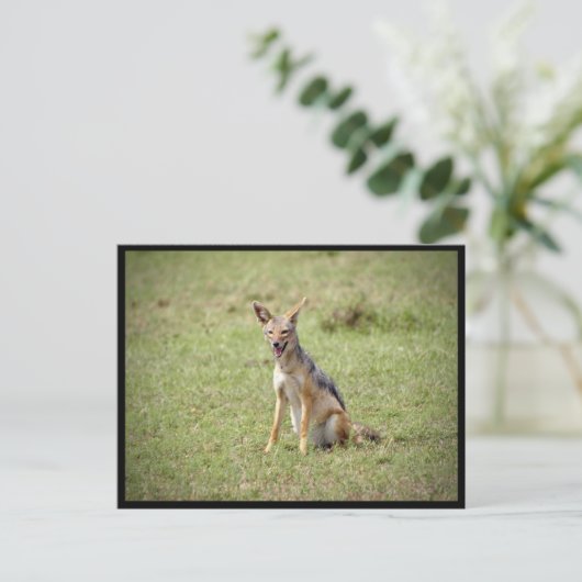 Briefkaart (Staand voorkant)