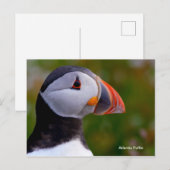 Briefkaart (Voorkant / Achterkant)