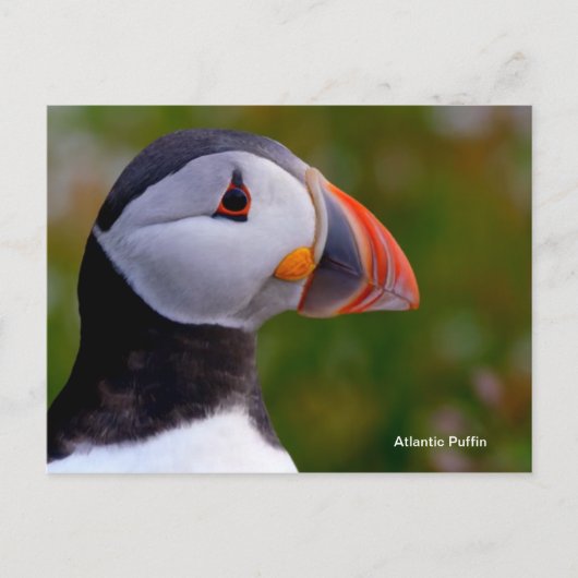 Briefkaart (Voorkant)