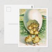 Briefkaart (Voorkant / Achterkant)